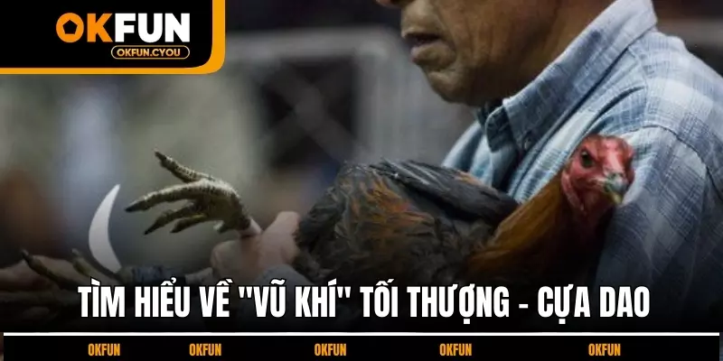 tim-hieu-ve-vu-khi-toi-thuong-cua-dao